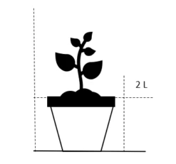 Sommerfuglebusk 'Royal Red' Buddleja Davidii 'Royal Red' Potte 2 Liter. -Osmoz Naturens Butik 20 2 liter ac43