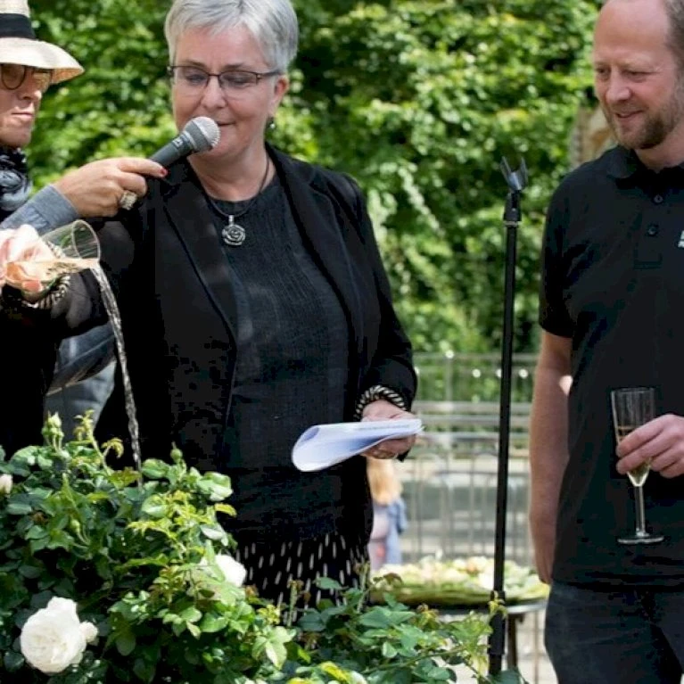 'Friheden'™ Rosa X 'Friheden'™ (Buketrose) A-Kvalitet,- Barrods Roser Min. 3 Grene 9 'Friheden'™ Rosa X 'Friheden'™ (Buketrose) A-Kvalitet,- Barrods Roser Min. 3 Grene - Billede 7