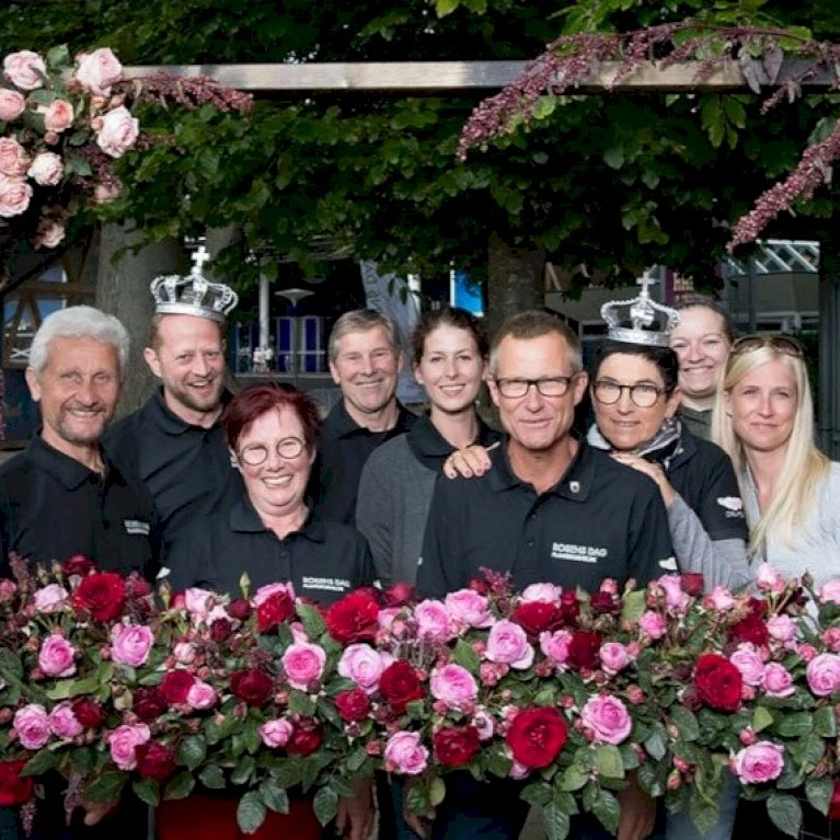 'Friheden'™ Rosa X 'Friheden'™ (Buketrose) A-Kvalitet,- Barrods Roser Min. 3 Grene 11 'Friheden'™ Rosa X 'Friheden'™ (Buketrose) A-Kvalitet,- Barrods Roser Min. 3 Grene - Billede 9