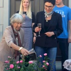 'Lise Nørgaard'™ Rosa X 'Lise Nørgaard'™ (Buketrose) A-Kvalitet,- Barrods Roser Min. 3 Grene -Osmoz Naturens Butik p19466 51606 rosa x lise noergaard buketrose a834