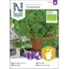 Kruspersille 'Grüne Perle' Øko Petroselinum Crispum 'Grüne Perle' Frøpose, Antal Pr. Pakke, Ca. 120 Stk. -Osmoz Naturens Butik p20183 37190 petroselinum crispum gruene perle c682