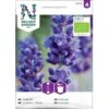 Ægte Lavendel Øko Lavandula Angustifolia Frøpose, Antal Pr. Pakke, Ca. 20 Stk. -Osmoz Naturens Butik p20214 37195 lavandula angustifolia df07