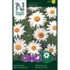 Okseøje 'Maikönigin' Leucanthemum Vulgare 'Maikönigin' Pose Med Frø Eller Løg, 20 1 Okseøje 'Maikönigin' Leucanthemum Vulgare 'Maikönigin' Pose Med Frø Eller Løg, 20 -Osmoz Naturens Butik p20577 34833 leucanthemum vulgare maikoenigin c7dc