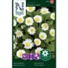 Tusindfryd 'Meadow Daisy' Bellis Perennis L. 'Meadow Daisy' Pose Med Frø Eller Løg, 20 -Osmoz Naturens Butik p20651 34842 bellis perennis l meadow daisy a348