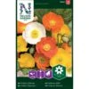 Sibirisk Valmue Mix Papaver Croceum Pose Med Frø Eller Løg, 25 -Osmoz Naturens Butik p20661 34840 papaver croceum 864e