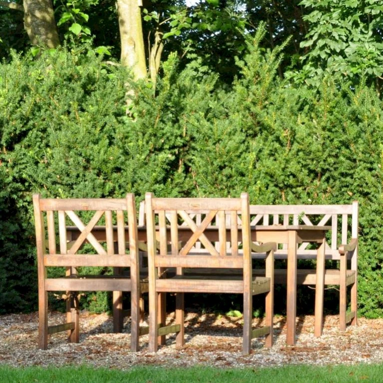 Taks 'Hillii' Taxus Media 'Hillii' Med Klump,- 40-50 Cm. 3 Taks 'Hillii' Taxus Media 'Hillii' Med Klump,- 40-50 Cm.