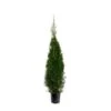 Almindelig Thuja 'Smaragd' Thuja Occidentalis 'Smaragd' Potte 10 Liter,- 125-150 Cm. -Osmoz Naturens Butik p2145 45699 thuja occidentalis smaragd 94a5