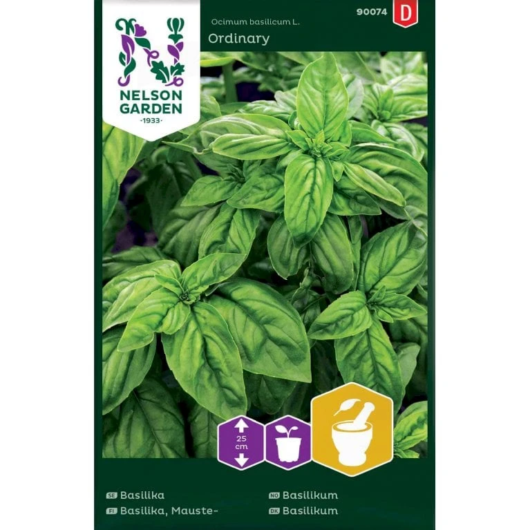 Basilikum 'Ordinary' Ocimum Basilicum L. 'Ordinary' 3 Basilikum 'Ordinary' Ocimum Basilicum L. 'Ordinary'