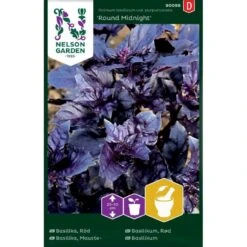 Rød Basilikum 'Round Midnight' Ocimum Basilicum Var. Purpurascens 'Round Midnight'