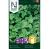 Citronmelisse Melissa Officinalis L. -Osmoz Naturens Butik p33623 37062 melissa officinalis l 29a2