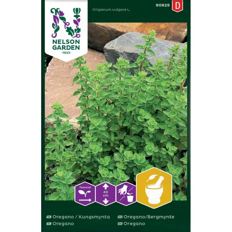 Vild Merian Origanum Vulgare L. 3 Vild Merian Origanum Vulgare L.