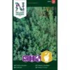 Timian Thymus Vulgaris L. -Osmoz Naturens Butik p33807 37095 thymus vulgaris l 93b2