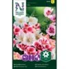 Atlaskblomst Mix Clarkia Amoena Mix 2 Atlaskblomst Mix Clarkia Amoena Mix -Osmoz Naturens Butik p33847 37205 clarkia amoena mix 2664