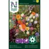 Honningblomster Mix Nelson Mixture 2 Honningblomster Mix Nelson Mixture -Osmoz Naturens Butik p33851 37207 nelson mixture 45e8