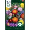 Evighedsblomster Mix Nelson Mixture -Osmoz Naturens Butik p33854 37210 nelson mixture 30f6