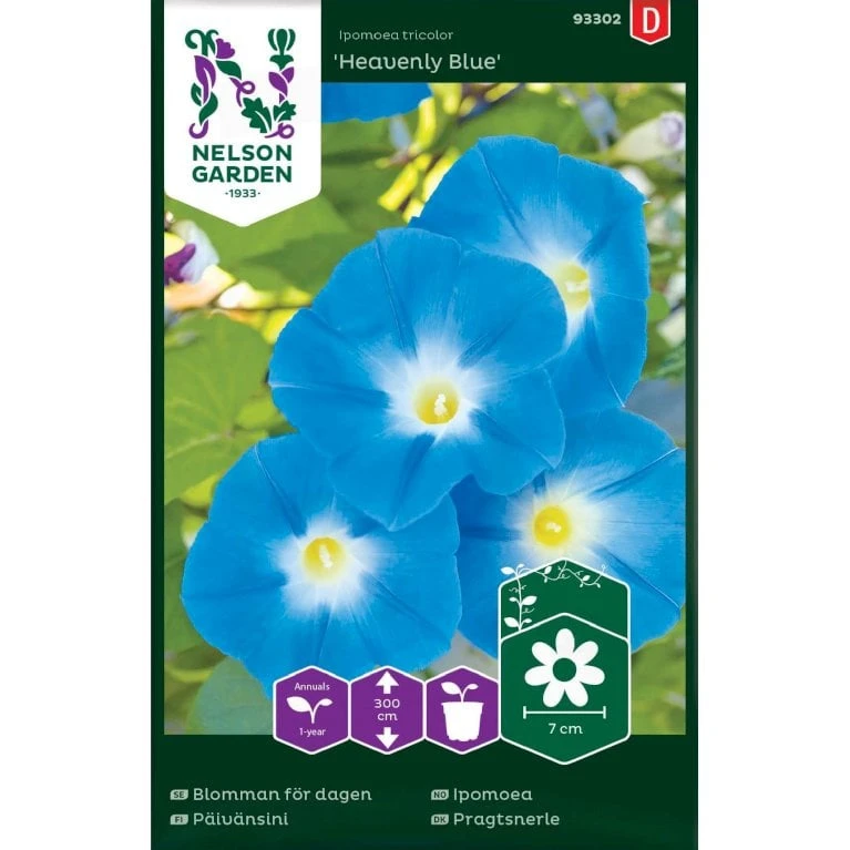 Pragtsnerle 'Heavenly Blue' Ipomoea Tricolor 'Heavenly Blue' 3 Pragtsnerle 'Heavenly Blue' Ipomoea Tricolor 'Heavenly Blue'