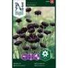 Kornblomst 'Black Boy' Centaurea Cyanus 'Black Boy' -Osmoz Naturens Butik p33866 37221 centaurea cyanus black boy 2a2b