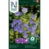 Smalbladet Klokkeblomst Campanula Persicifolia L. -Osmoz Naturens Butik p33870 37224 campanula persicifolia l b6dc