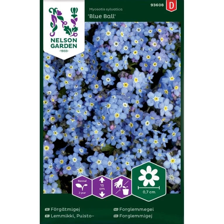 Skovforglemmigej 'Blue Ball' Myosotis Sylvatica 'Blue Ball' 3 Skovforglemmigej 'Blue Ball' Myosotis Sylvatica 'Blue Ball'
