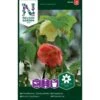 Klokketræ Mix Abutilon X Hybridum 1 Klokketræ Mix Abutilon X Hybridum -Osmoz Naturens Butik p33892 37242 abutilon x hybridum 39aa