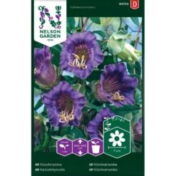 Blå Klokkeranke Cobaea Scandens