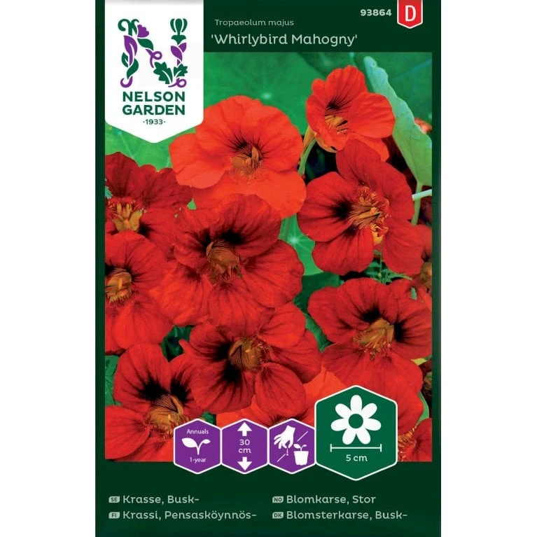 Buskblomsterkarse 'Whirlybird Mahogny' Tropaeolum Majus 'Whirlybird Mahogny' 3 Buskblomsterkarse 'Whirlybird Mahogny' Tropaeolum Majus 'Whirlybird Mahogny'