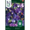 Ærteblomst 'Lord Nelson' Lathyrus Odoratus L. 'Lord Nelson' -Osmoz Naturens Butik p33920 37266 lathyrus odoratus l lord nelson 7818