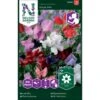 Ærteblomst 'Royal Mix' Big Pack Lathyrus Odoratus L. 'Royal' Mix 1 Ærteblomst 'Royal Mix' Big Pack Lathyrus Odoratus L. 'Royal' Mix -Osmoz Naturens Butik p33927 37273 lathyrus odoratus l royal mix 67f2