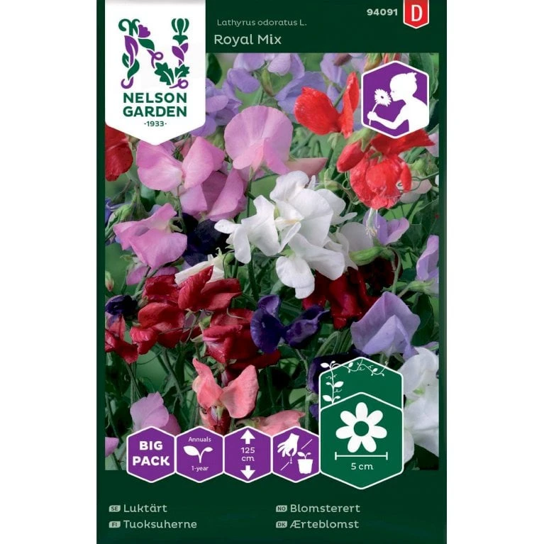 Ærteblomst 'Royal Mix' Big Pack Lathyrus Odoratus L. 'Royal' Mix 3 Ærteblomst 'Royal Mix' Big Pack Lathyrus Odoratus L. 'Royal' Mix