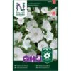 Mamelukærme 'Mont Blanc' Lavatera Trimestris L. 'Mont Blanc' -Osmoz Naturens Butik p33932 37277 lavatera trimestris l mont blanc fea5