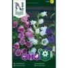 Marieklokke Mix Campanula Medium L. 1 Marieklokke Mix Campanula Medium L. -Osmoz Naturens Butik p33934 37279 campanula medium l 2898