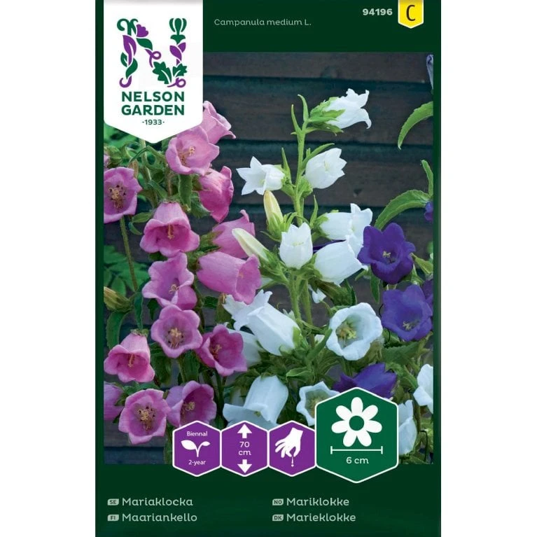 Marieklokke Mix Campanula Medium L. 3 Marieklokke Mix Campanula Medium L.