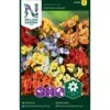 Sommerfugleblomst 'Carnival' Mix Nemesia Strumosa 'Carnival' Mix -Osmoz Naturens Butik p33938 37282 nemesia strumosa carnival mixed cd26