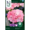 Pelargonie 'Inspire Pink' F1 Pelargonium X Hortorum 'Inspire Pink' F1 -Osmoz Naturens Butik p33940 37284 pelargonium x hortorum inspire pink f1 ff64