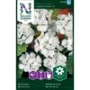 Pelargonie 'Inspire White' F1 Pelargonium X Hortorum 'Inspire White' F1 -Osmoz Naturens Butik p33942 37285 pelargonium x hortorum inspire white f1 5cef