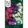 Minipetunia 'Picobella' F1 Mix Petunia Hybrida 'Picobella' F1 2 Minipetunia 'Picobella' F1 Mix Petunia Hybrida 'Picobella' F1 -Osmoz Naturens Butik p33948 34878 petunia hybrida picobella f1 a357
