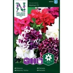 Petunia Dobbelt 'Glorious' F1 Mix Petunia Hybrida 'Glorius' F1