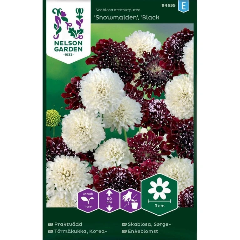 Enkeblomst 'Snowmaiden' X 'Black Knight' Scabiosa Atropurpurea 'Snowmaiden', 'Black Knight' 3 Enkeblomst 'Snowmaiden' X 'Black Knight' Scabiosa Atropurpurea 'Snowmaiden', 'Black Knight'