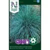 Blåsvingel Festuca -Osmoz Naturens Butik p33957 37296 festuca 0b06