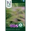 Egernhalebyg Hordeum Jubatum L. -Osmoz Naturens Butik p33958 37297 hordeum jubatum l 02e5