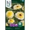 Morgenfrue 'Ivory Princess' Calendula Officinalis 'Ivory Princess' 1 Morgenfrue 'Ivory Princess' Calendula Officinalis 'Ivory Princess' -Osmoz Naturens Butik p33978 37315 calendula officinalis ivory princess 2501