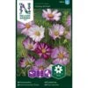 Stolt Kavaler 'Candy Stripe' Cosmos Bipinnatus 'Candy Stripe' -Osmoz Naturens Butik p33983 37320 cosmos bipinnatus candy stripe 92af