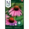 Purpursolhat 'Starlight' Echinacea Purpurea 'Starlight' 2 Purpursolhat 'Starlight' Echinacea Purpurea 'Starlight' -Osmoz Naturens Butik p33991 37328 echinacea purpurea starlight ad73