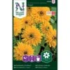 Håret Solhat 'Maya' Rudbeckia Hirta Var. Pulcherrima 'Maya' 2 Håret Solhat 'Maya' Rudbeckia Hirta Var. Pulcherrima 'Maya' -Osmoz Naturens Butik p33994 37330 rudbeckia hirta var pulcherrima maya 89a7