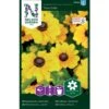 Lav Håret Solhat 'Toto Gold' Rudbeckia Hirta Var. Pulcherrima 'Toto Gold' -Osmoz Naturens Butik p33996 37332 rudbeckia hirta var pulcherrima toto gold 6875