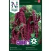 Rød Rævehaleamarant Amaranthus Caudatus L. -Osmoz Naturens Butik p33997 37333 amaranthus caudatus l d7a7