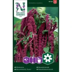 Rød Rævehaleamarant Amaranthus Caudatus L.