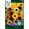 Høj Solsikke 'Wilde Mixture' Helianthus Annuus 'Wilde Mixture' 1 Høj Solsikke 'Wilde Mixture' Helianthus Annuus 'Wilde Mixture' -Osmoz Naturens Butik p34003 37337 helianthus annuus wilde mixture ba67
