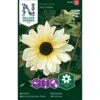 Høj Solsikke 'Ice Cream' Helianthus Debilis 'Ice Cream' -Osmoz Naturens Butik p34005 37338 helianthus debilis ice cream f5ac