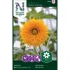 Solsikke 'Double Sunking' Helianthus Annuus 'Double Sunking' -Osmoz Naturens Butik p34012 37344 helianthus annuus double sunking 72d6